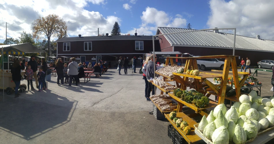 10 Best Places to Shop in Ottawa