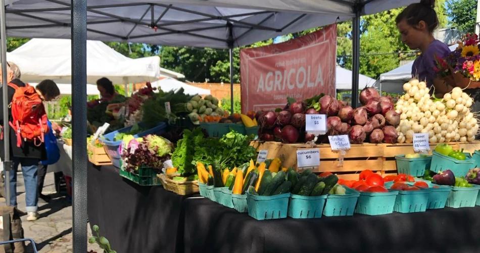 10 Best Places to Shop in Ottawa