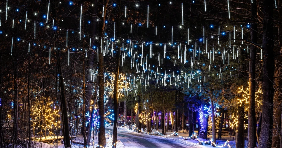 10 Best Nighttime Attractions in Ottawa