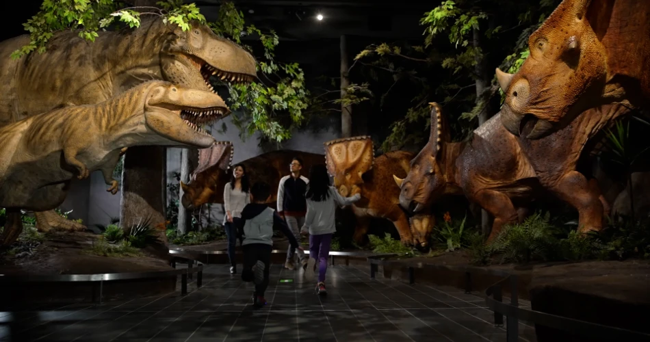 10 Best Museums in Ottawa, Canada