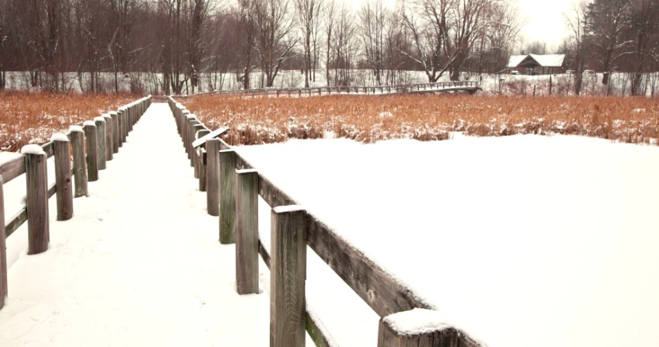 10 Best Things to Do in Winter in Ottawa